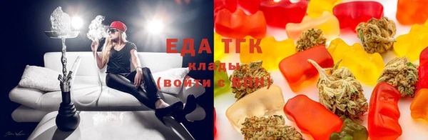 дживик Корсаков