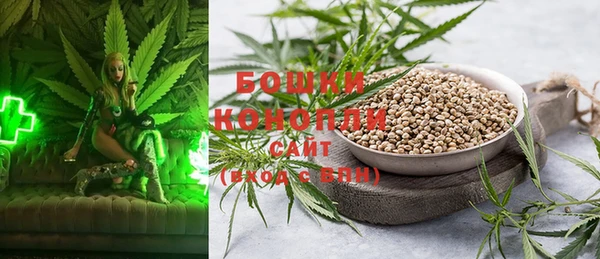 дживик Корсаков