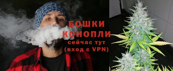 дживик Корсаков